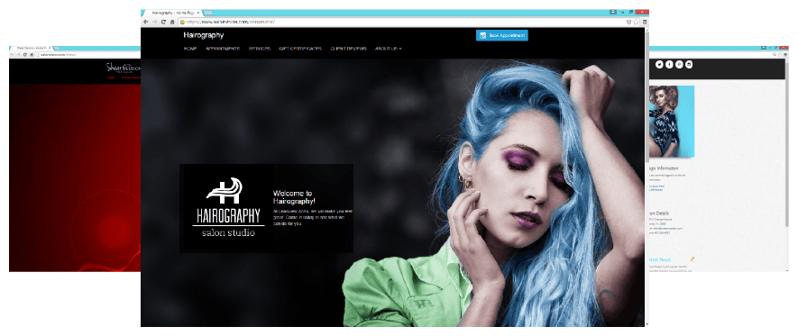 Photo of Example of Custom Salon Websites